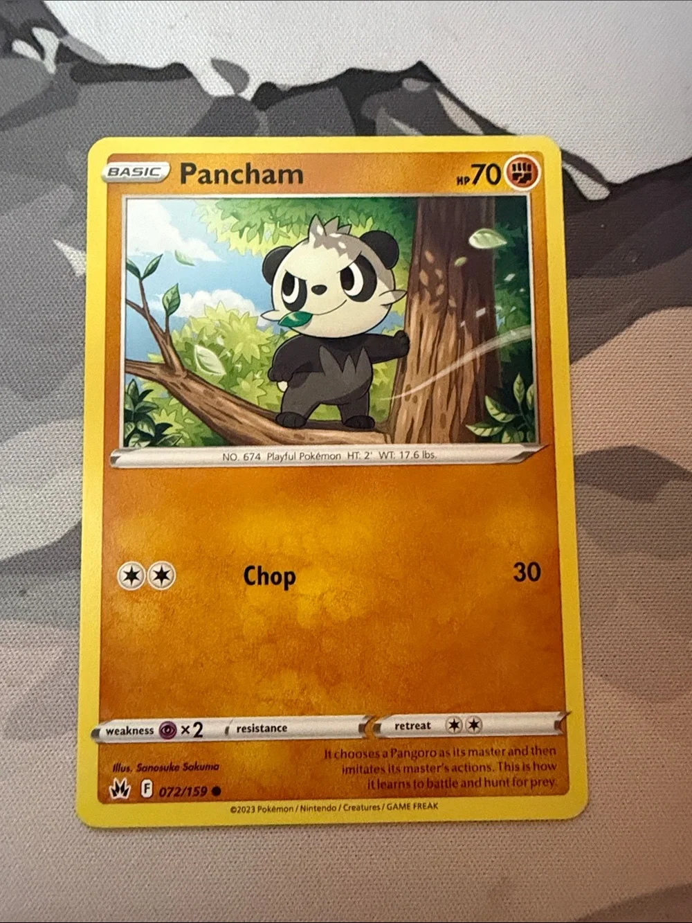 Pancham & Pangoro Evolution Lot | 3 Pokémon Cards | ✨5/$25✨